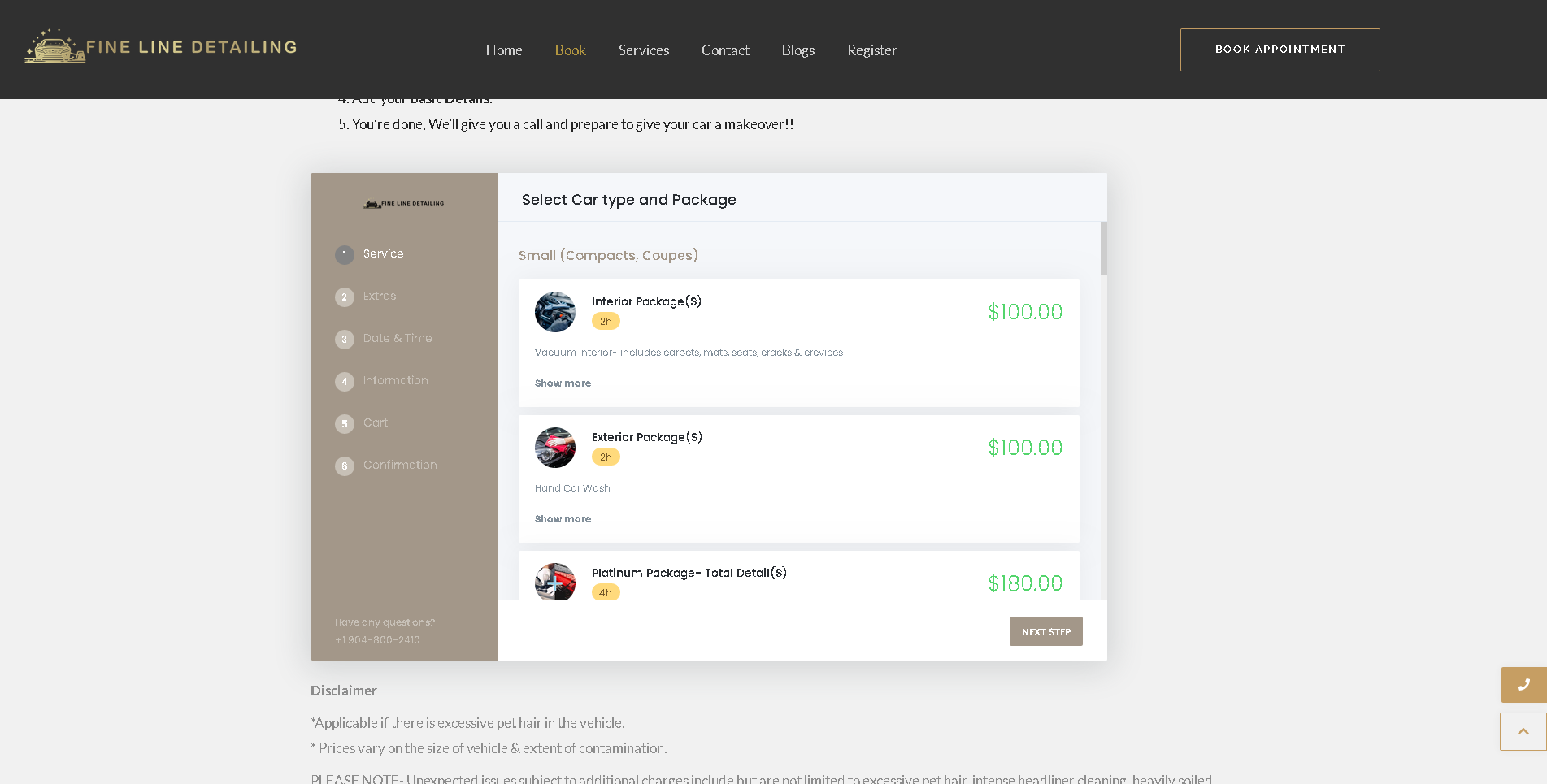 Booking page screenshot of fin line detailing website